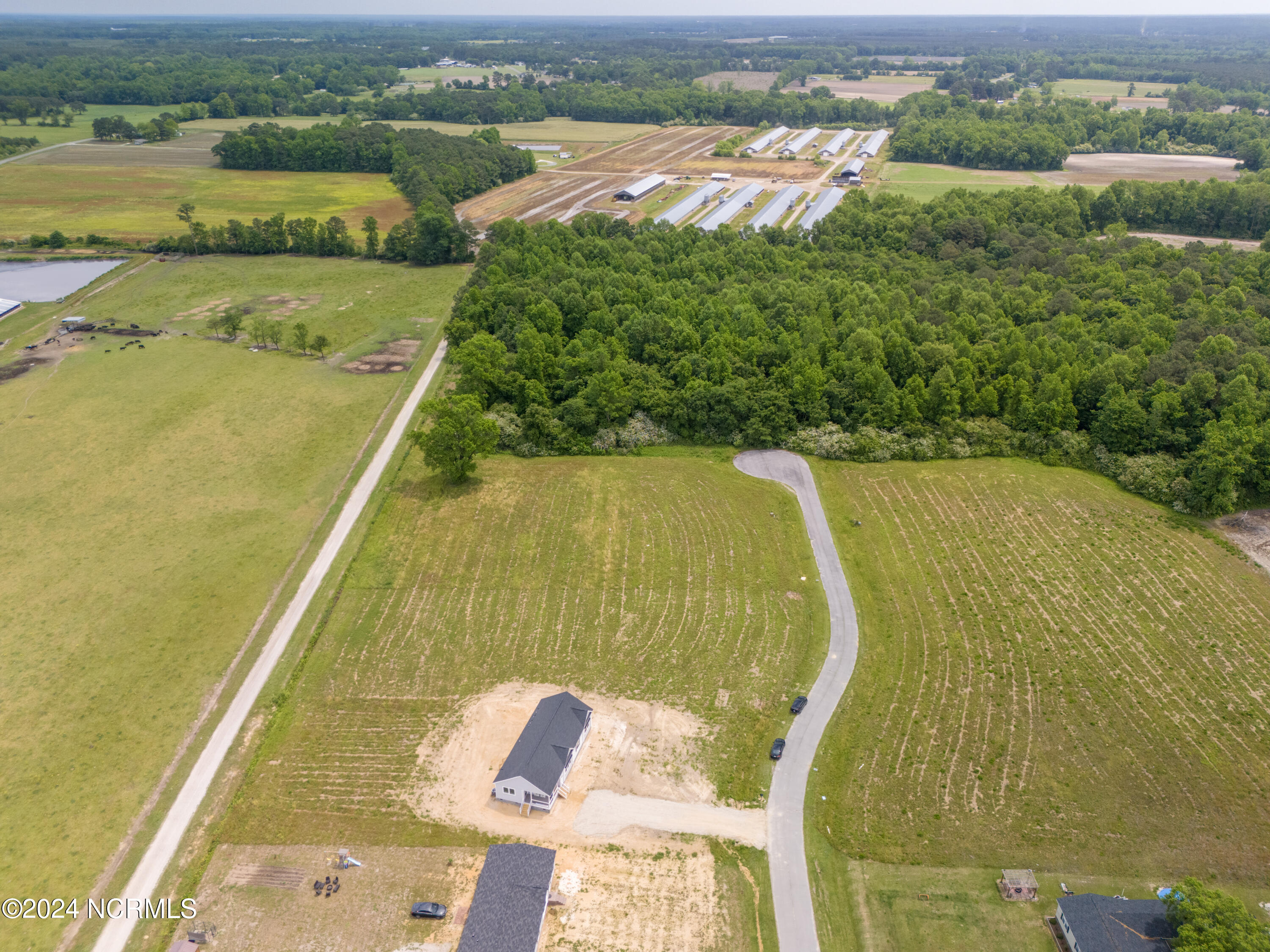 135 Sand Ridge Drive Beulaville, NC 28518 - Photo 3 of 11 2-DJI_20240503121904_0123_D-HDR