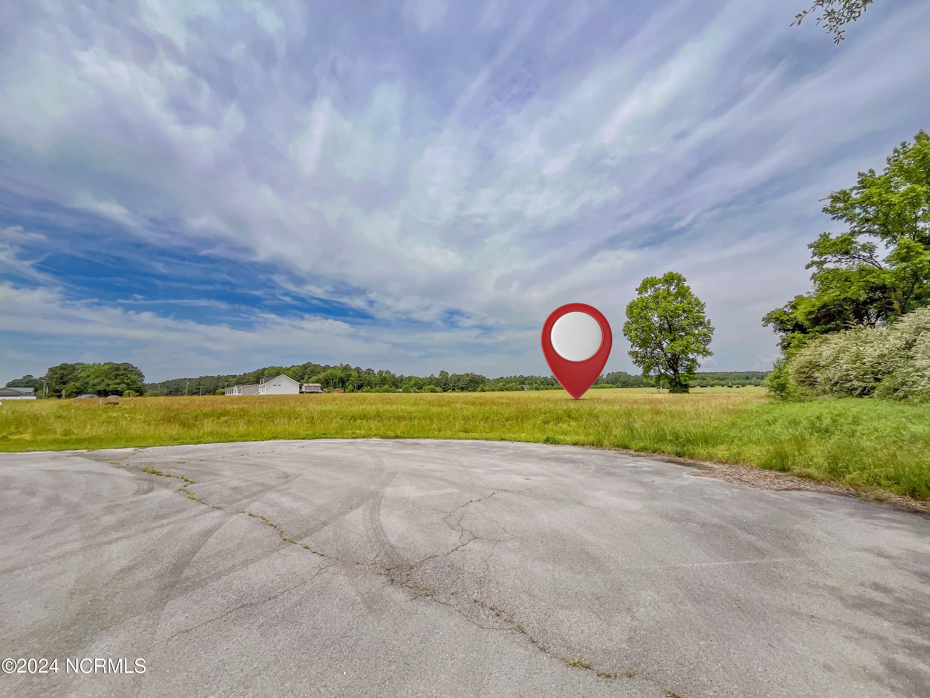 135 Sand Ridge Drive Beulaville, NC 28518 - Photo 8 of 11 12-IMG_4832-Edit