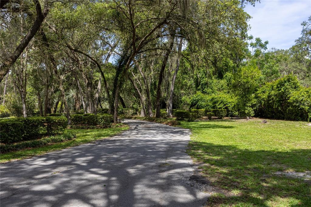 3933 State Road 21 Keystone Heights, FL 32656 - Photo 70 of 99