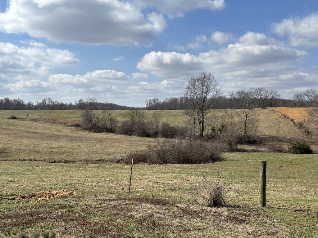0 Allen Schoolhouse Road Columbia, KY 42728 - Photo 11 of 13 10
