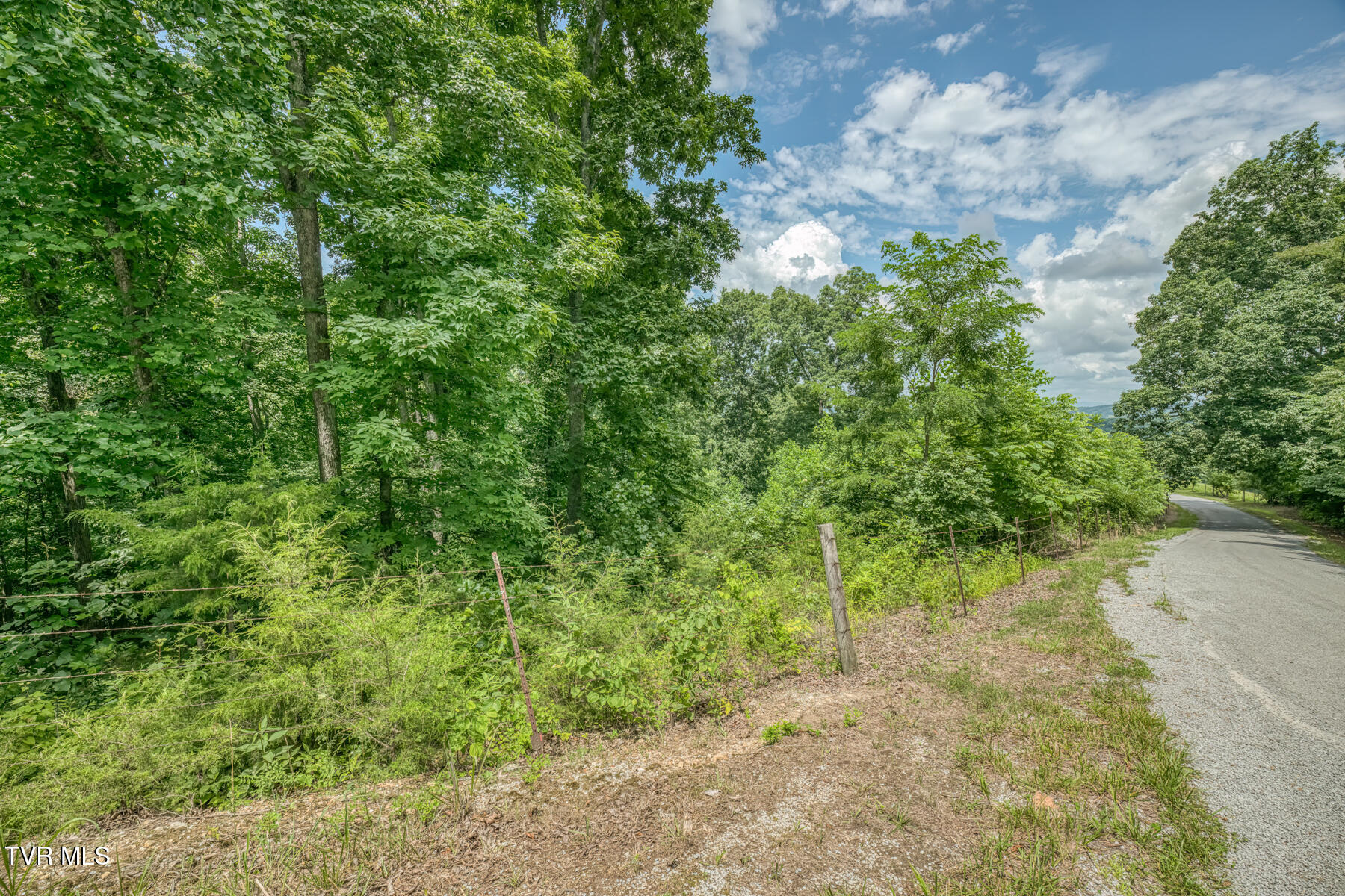 2083 Bundren Mountain Road Tazewell, TN 37879 - Photo 30 of 42 2083 Bundren Mountain Rd-21