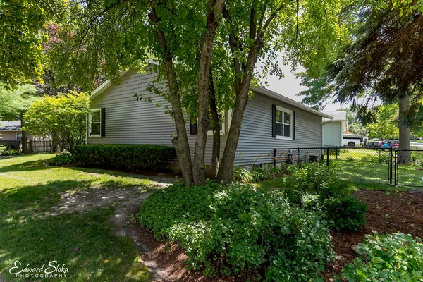 a backyard of a house with plants and large tree