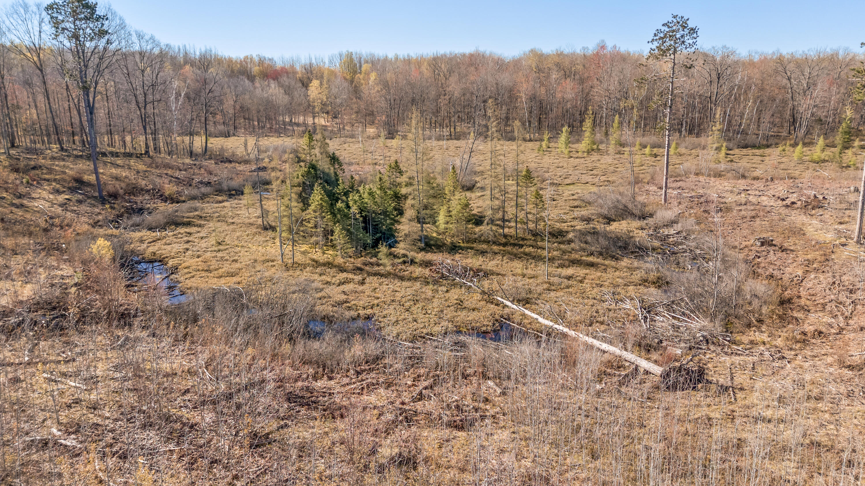 16107 12 Mile Road Leroy, MI 49655 - Photo 32 of 40 16107-12MileRd-Leroy-26
