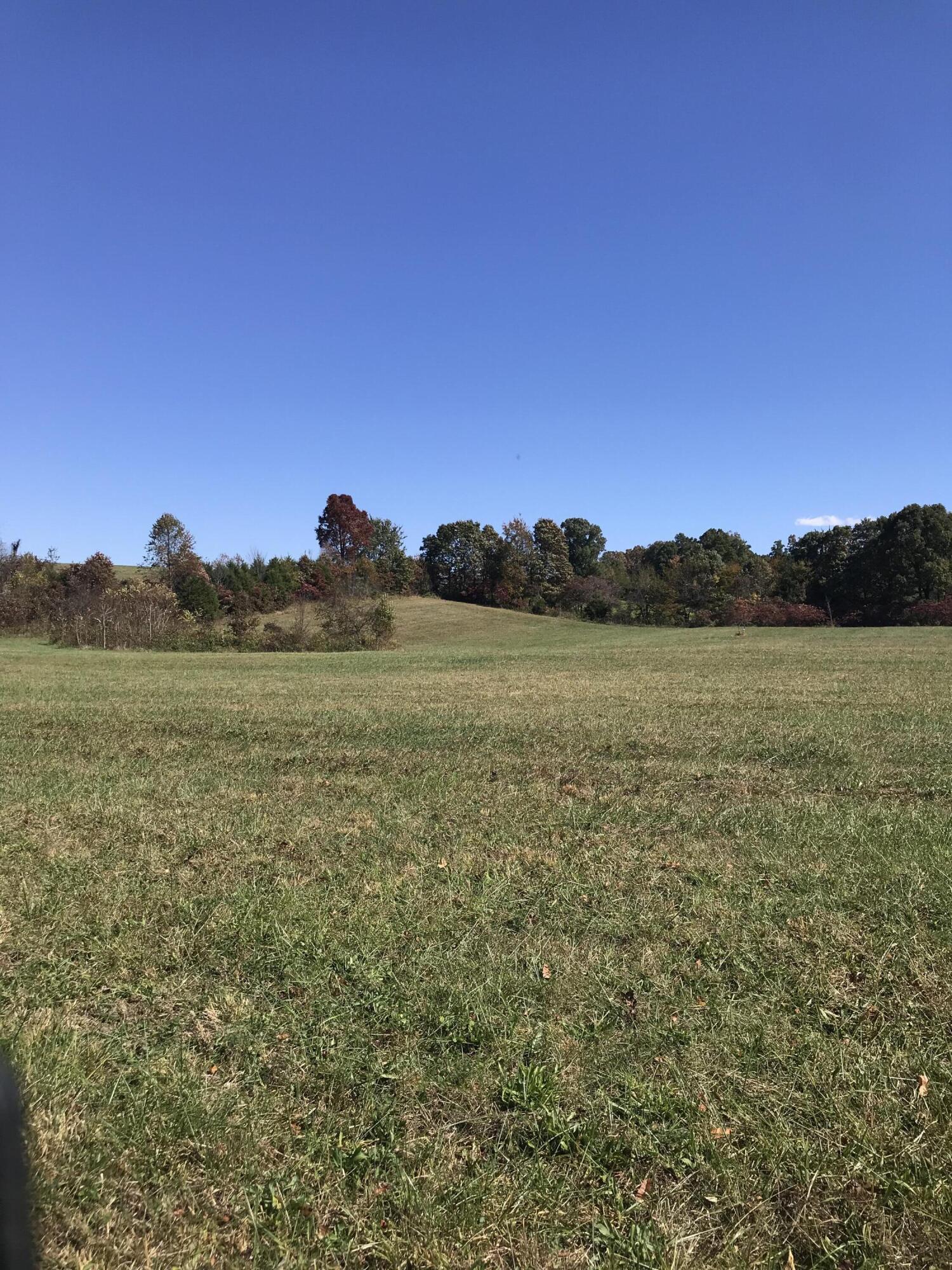 690 Rambo Road Greeneville, TN 37743 - Photo 7 of 8 Rambo -7