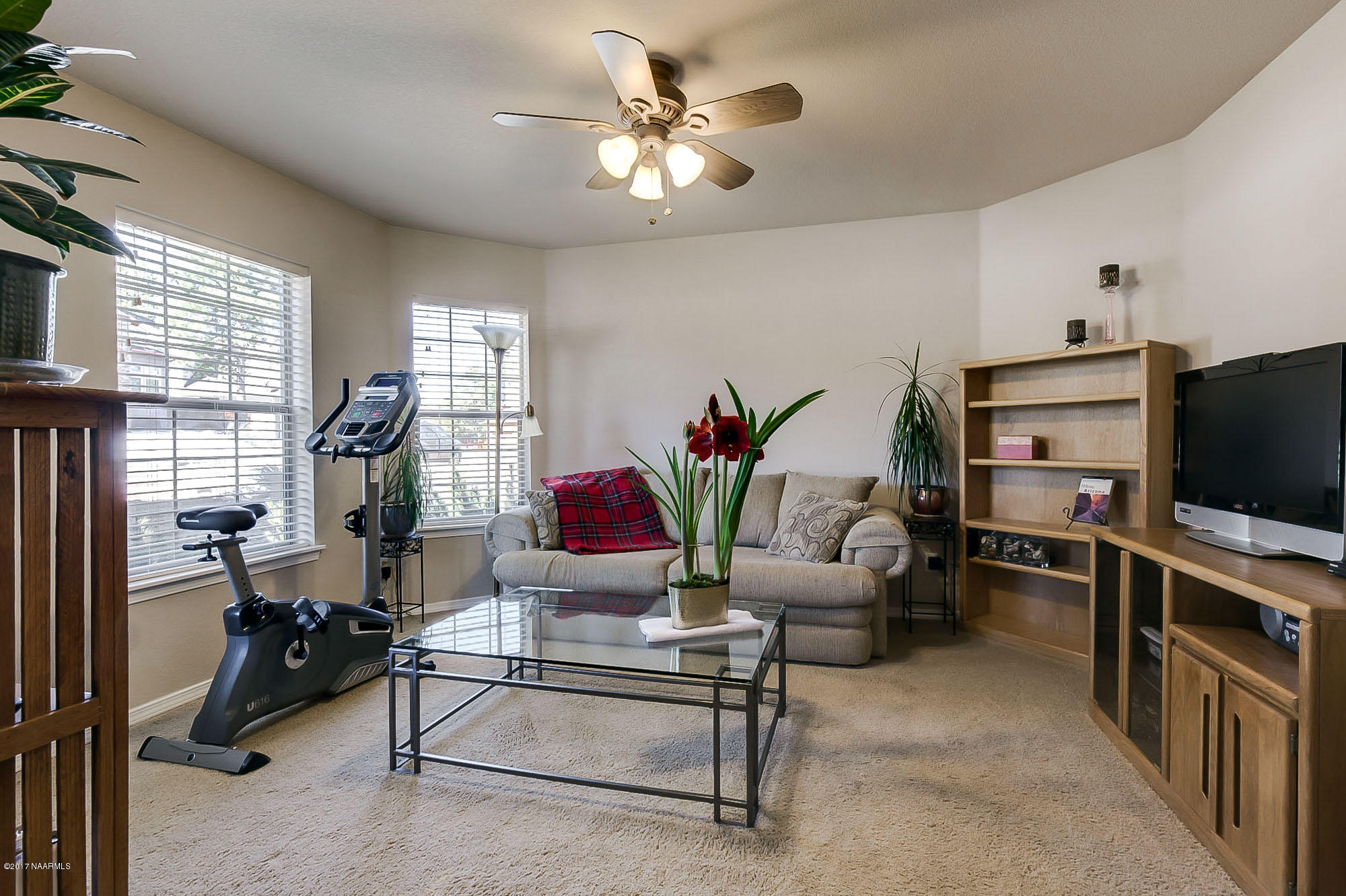 Bonus Room