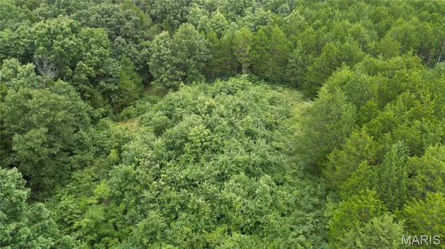 $65,000 | 6135 Tall Cedars Road, Hillsboro, MO 63050