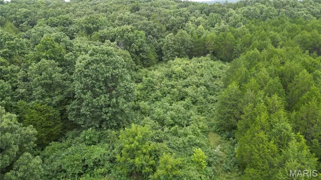 $65,000 | 6135 Tall Cedars Road, Hillsboro, MO 63050