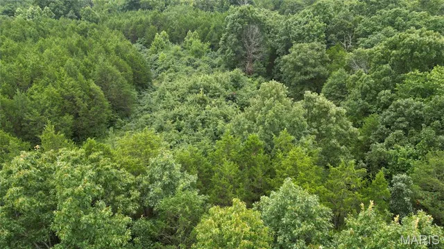 $65,000 | 6135 Tall Cedars Road, Hillsboro, MO 63050