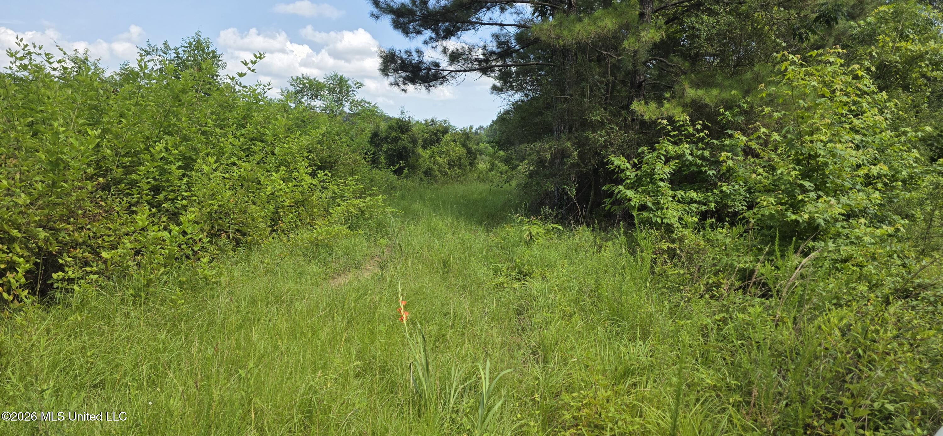 2046 Barto Leggett Road McComb, MS 39648 - Photo 12 of 29 20260623_155738