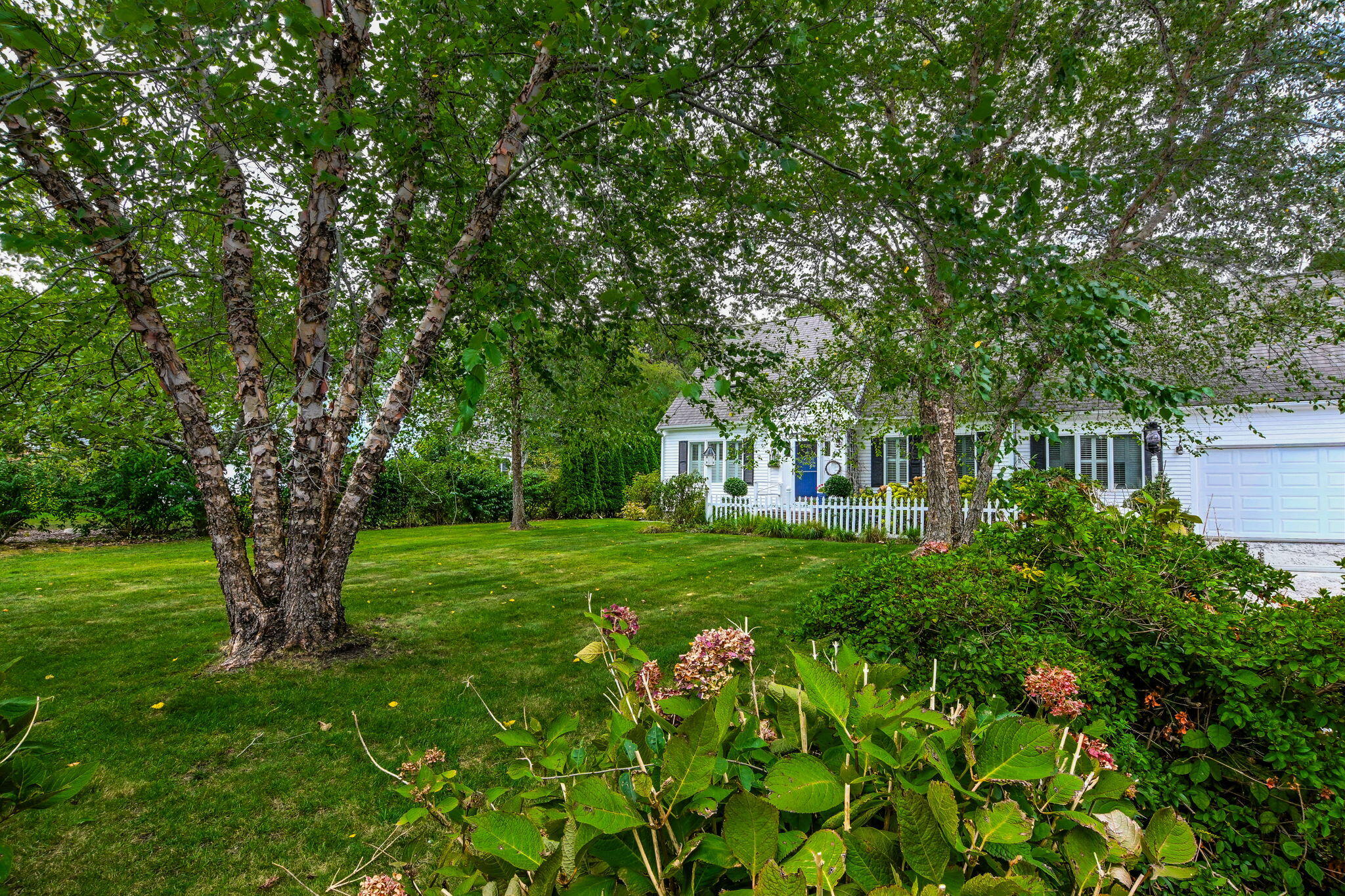 25 Harris Hill Road East Falmouth, MA 02536 - Photo 33 of 37 a view of a big yard with plants and large trees