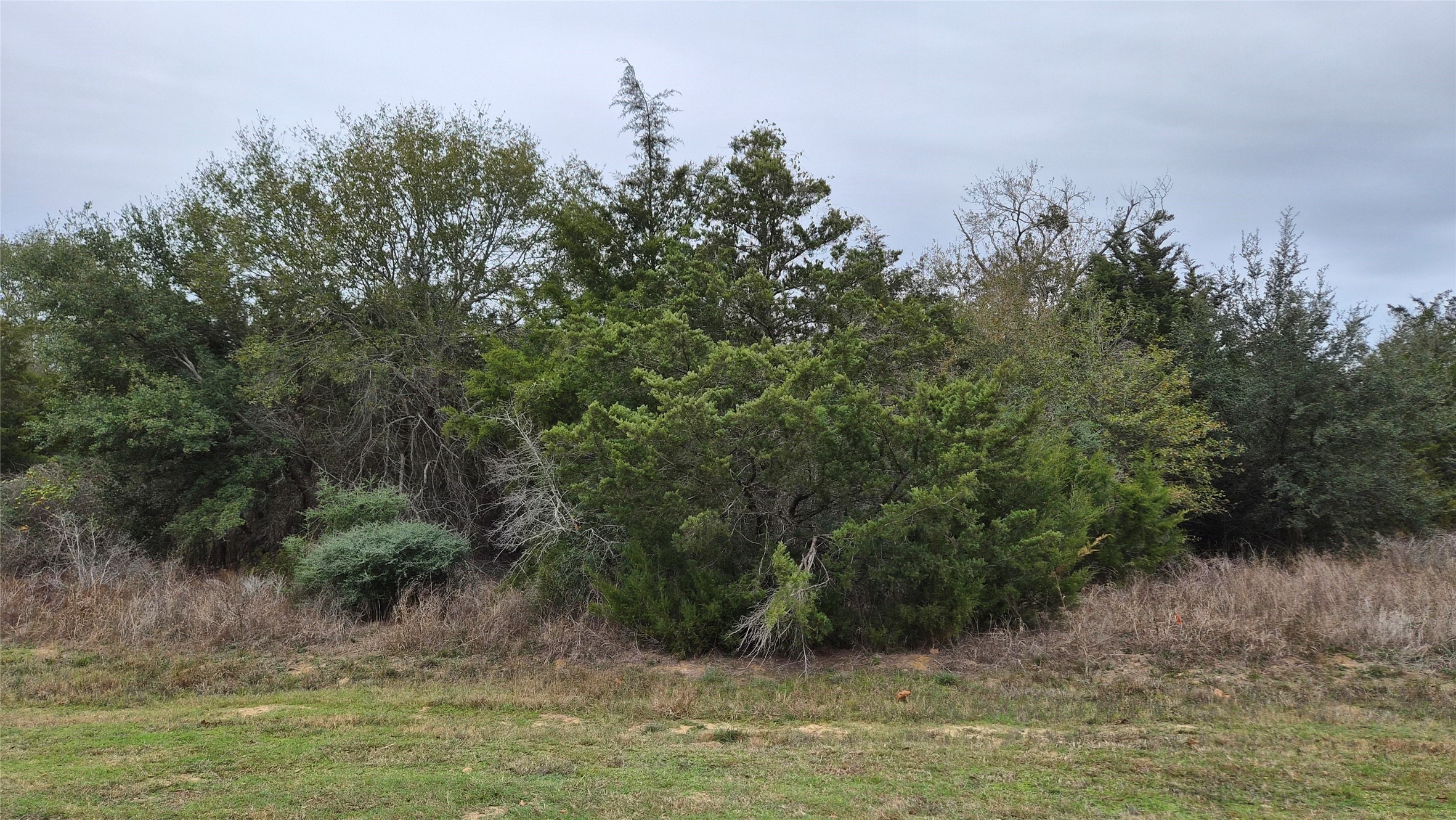 0 Shepard Street Hempstead, TX 77445 - Photo 2 of 6 a view of a lake view
