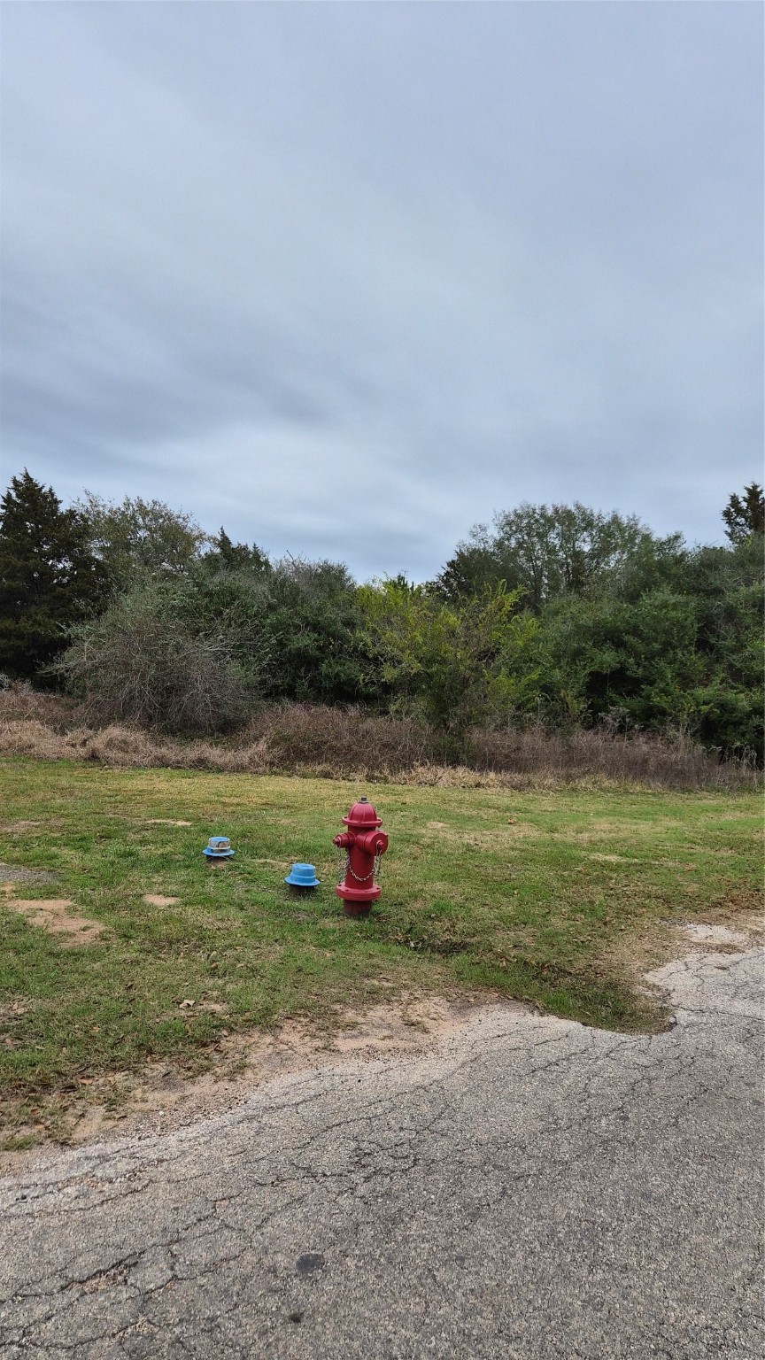 0 Shepard Street Hempstead, TX 77445 - Photo 3 of 6 a view of outdoor space with city view