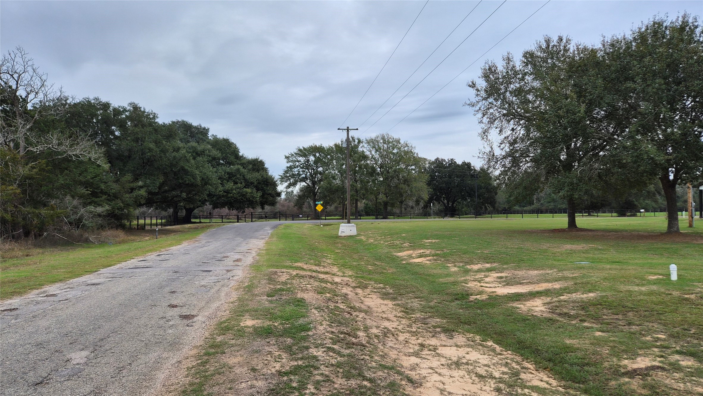 0 Shepard Street Hempstead, TX 77445 - Photo 6 of 6 a view of a tree in a yard