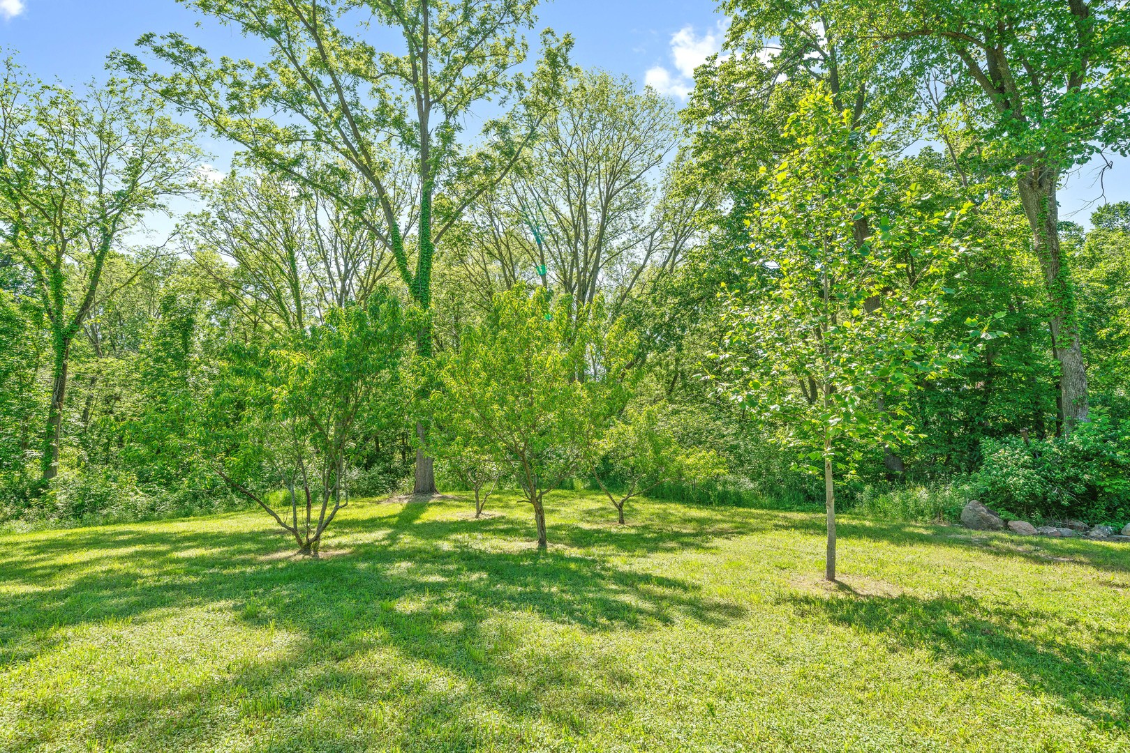 911 Melugins Grove Road Compton, IL 61318 - Photo 50 of 60