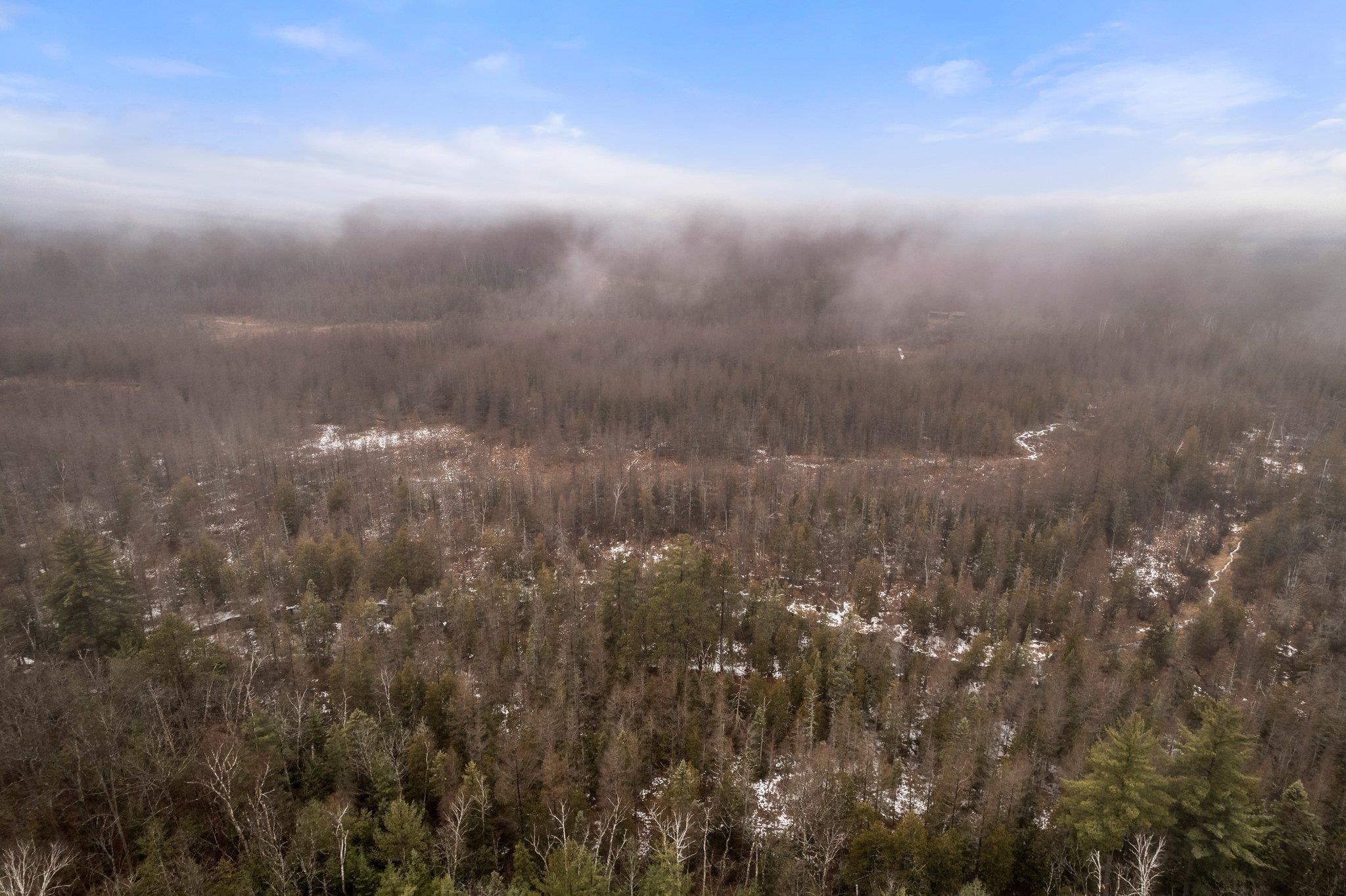 9992 Fritz Road Atlanta, MI 49709 - Photo 48 of 50