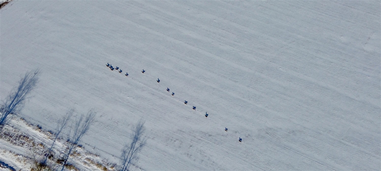 V/l Cade Road Capac, MI 48014 - Photo 16 of 51