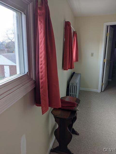 159 Spring Street Nazareth, PA 18064 - Photo 10 of 26 Gallery Image 10