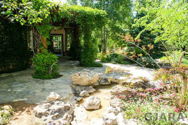 867 25 Road Grand Junction, CO 81505 - Photo 8 of 29 a view of a backyard with potted plants and large trees