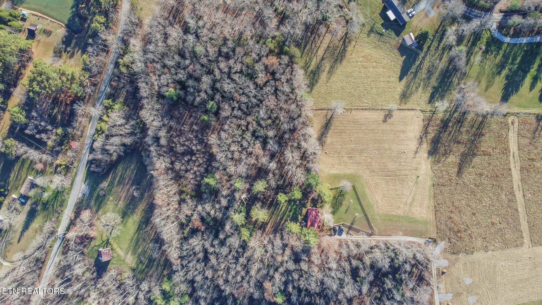 3.99-ac Bob Austin Road Crossville, TN 38571 - Photo 6 of 8 cravens-481