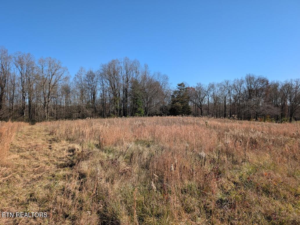 3.99-ac Bob Austin Road Crossville, TN 38571 - Photo 7 of 8 3.99 ac Bob Austin Rd-1