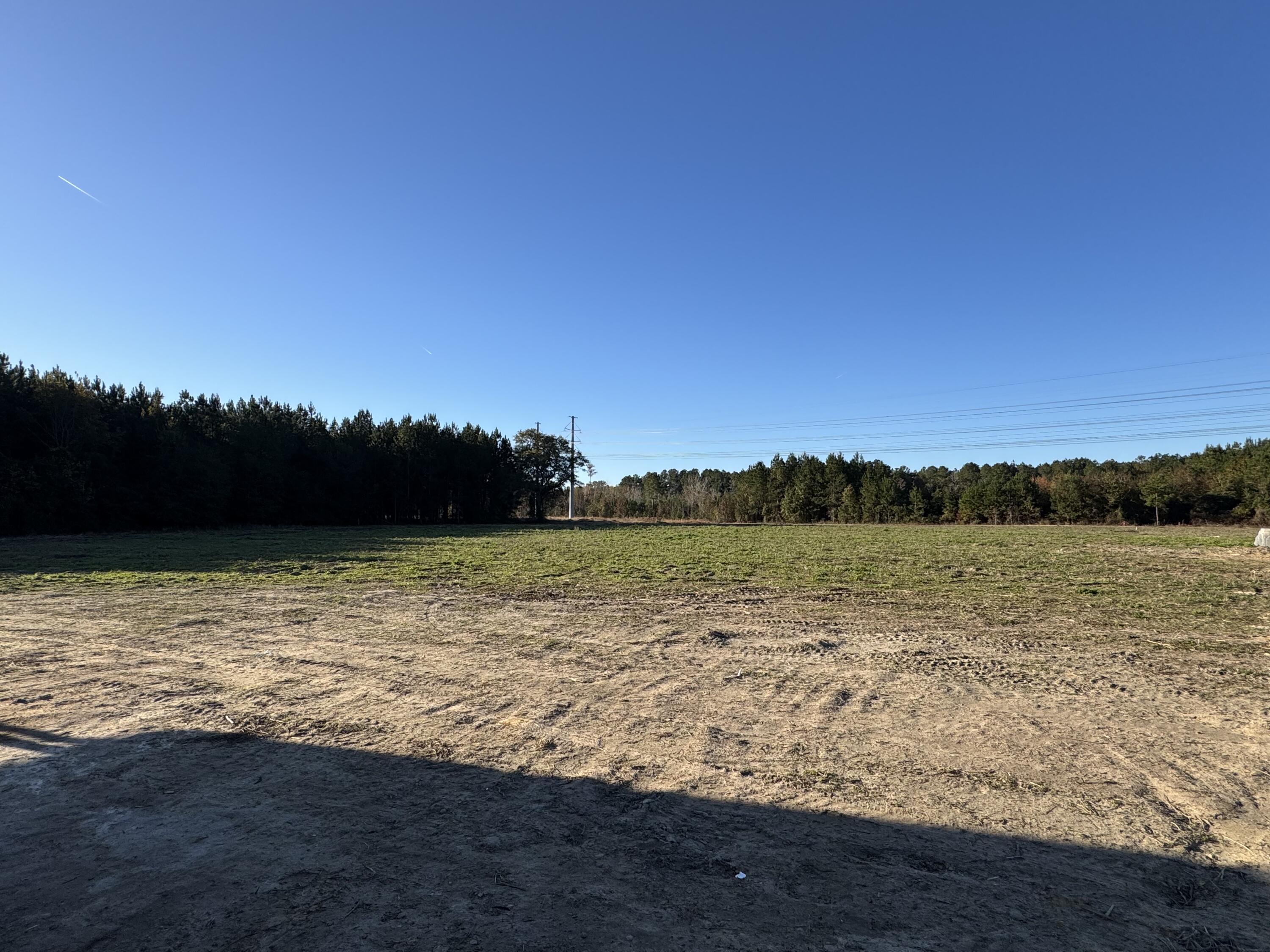 677 Winningham Road St. George, SC 29477 - Photo 6 of 24 Backyard