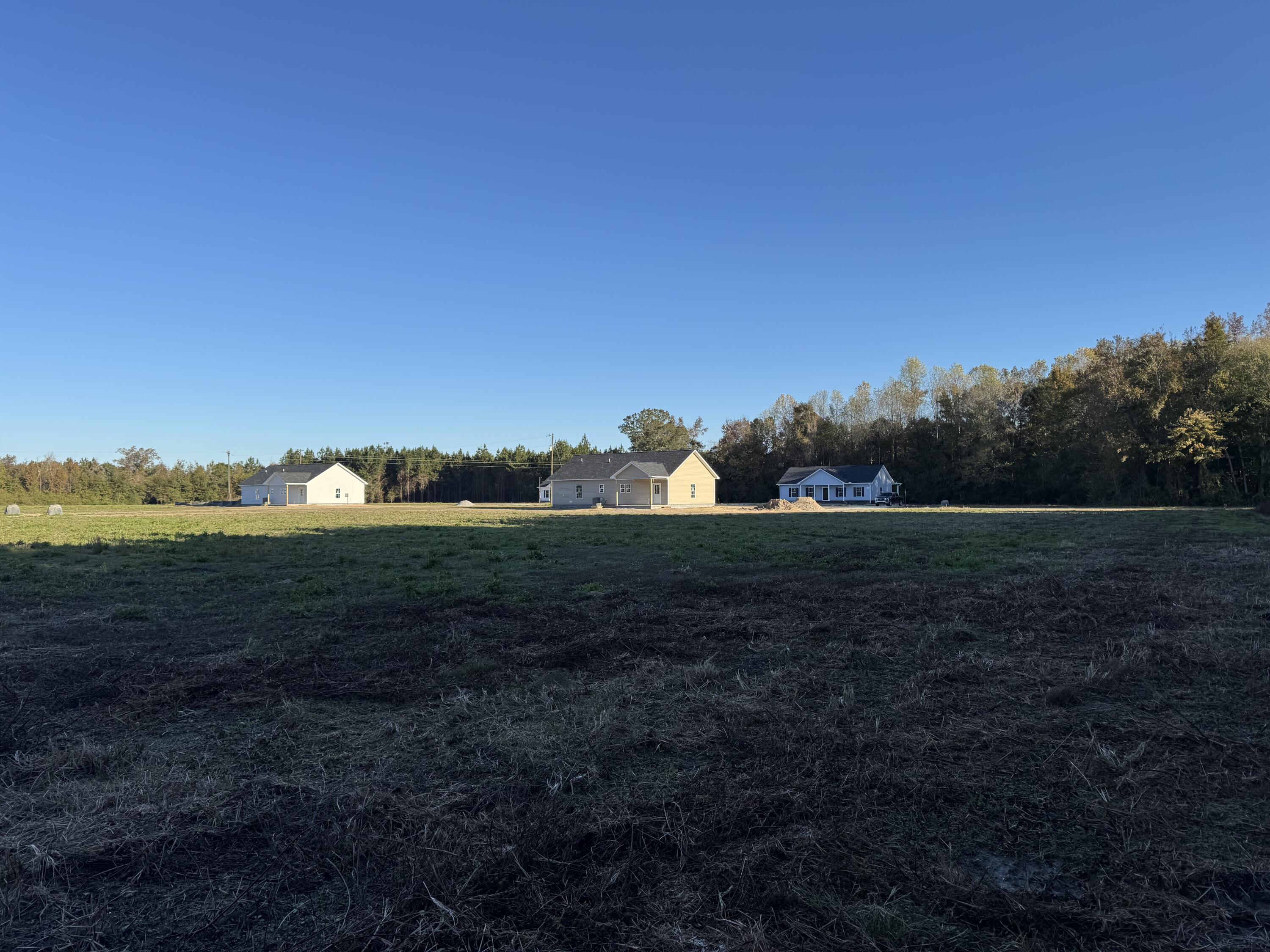 677 Winningham Road St. George, SC 29477 - Photo 9 of 24 Rear from Backyard