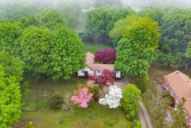 a garden view with a pond