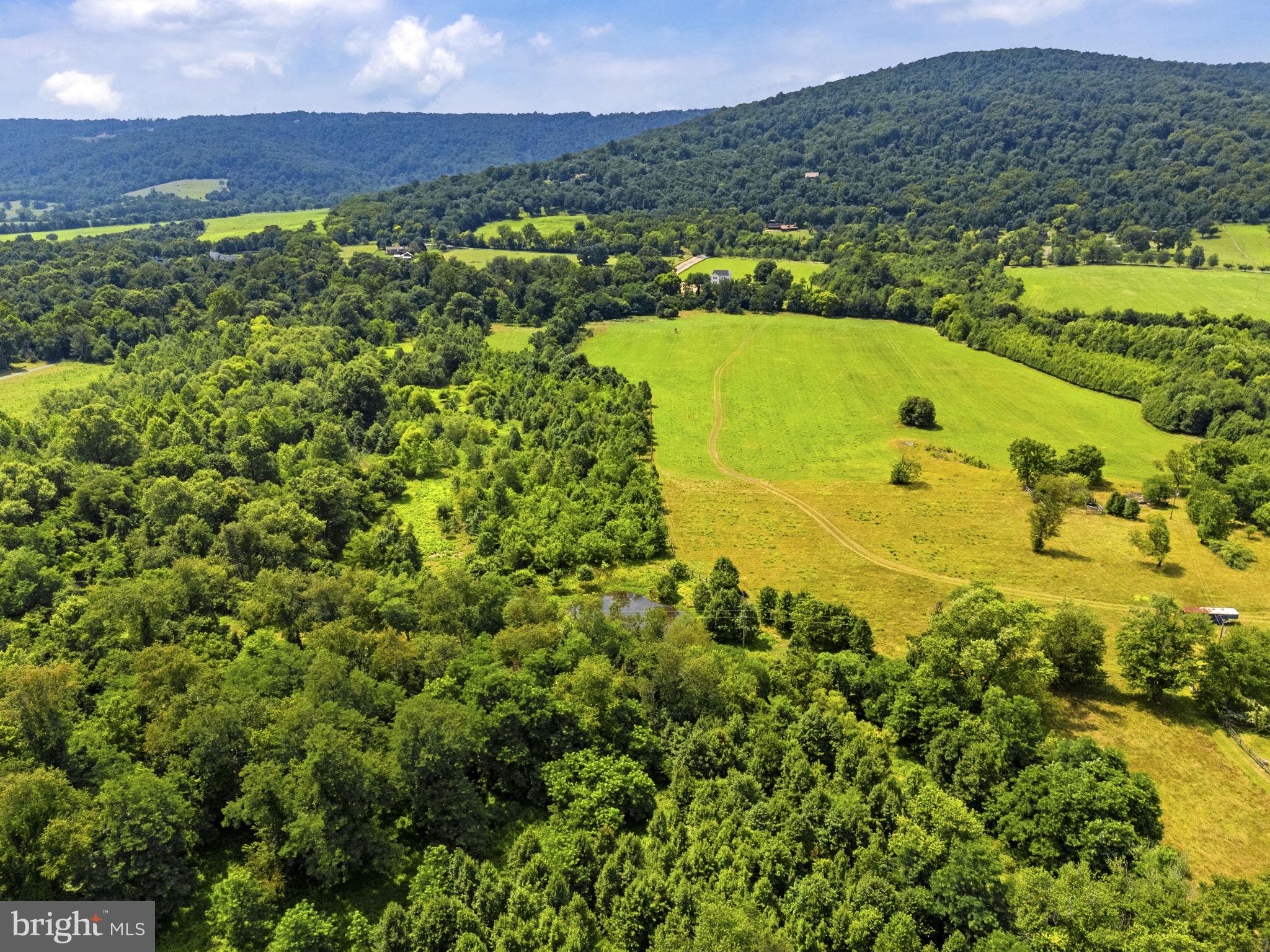 0 Austin Grove Road Bluemont, VA 20135 - Photo 22 of 43 Gallery Image 22