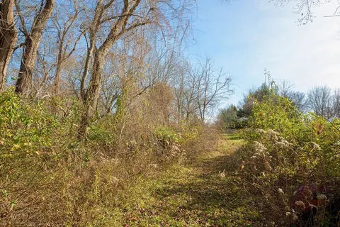 a view of a yard with plants and trees