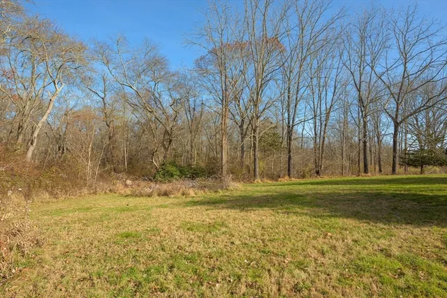 a view of a yard with a trees