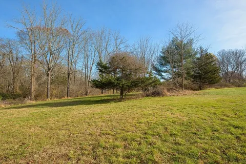 a backyard of a house with lots of green space