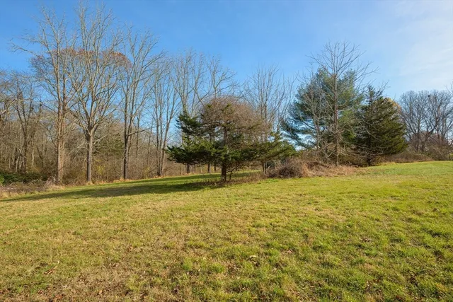 a backyard of a house with lots of green space