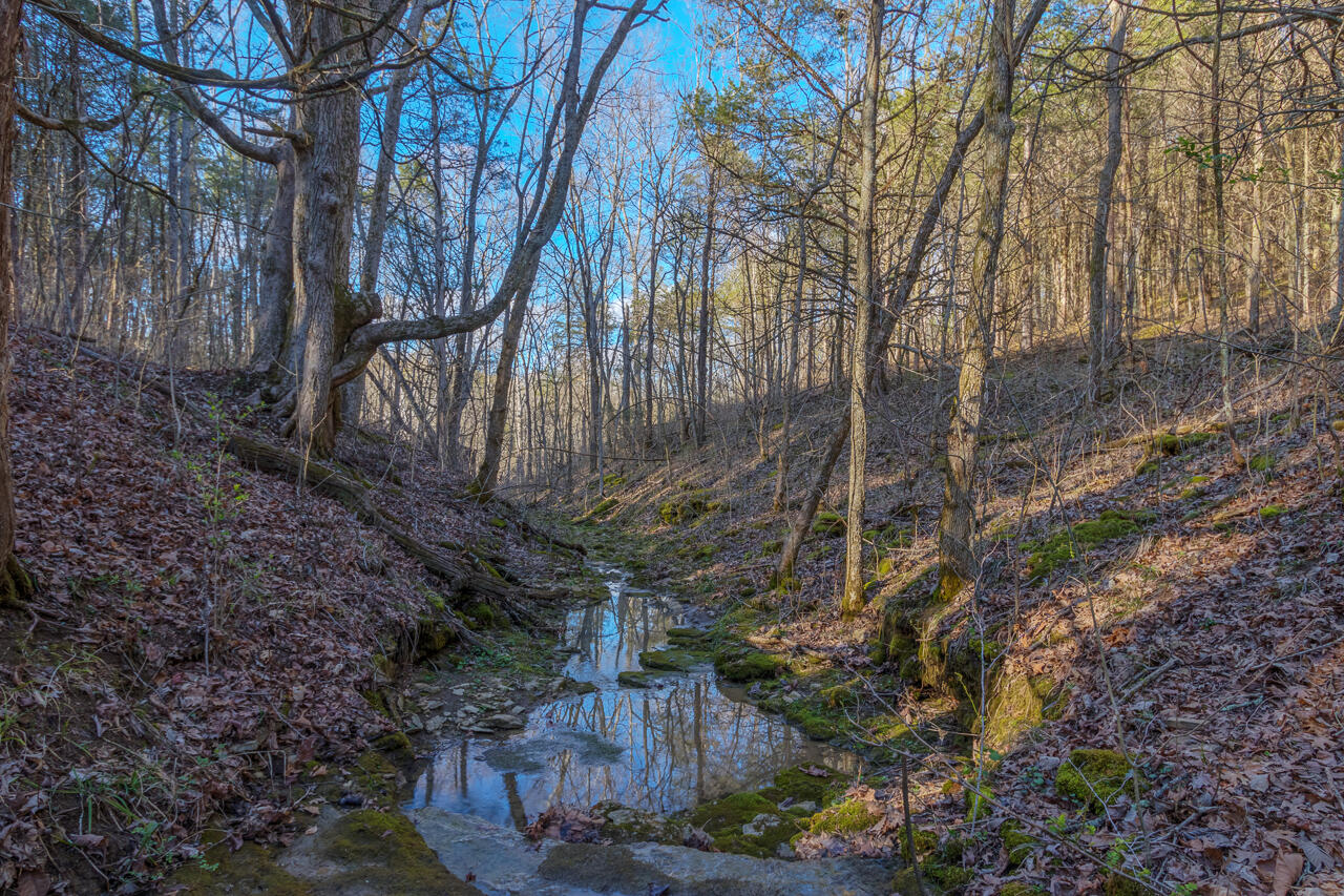 1 Camp Pleasant Road Frankfort, KY 40601 - Photo 63 of 67 112-2918-Cedar-Rd-Stamping-Ground-KY-403