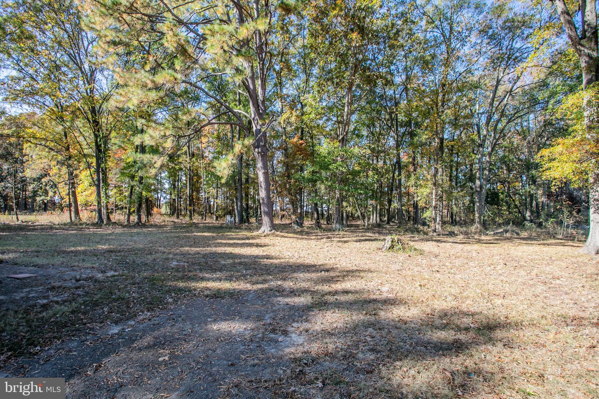 20126 Batna Road Culpeper, VA 22701 - Photo 14 of 15 Gallery Image 14