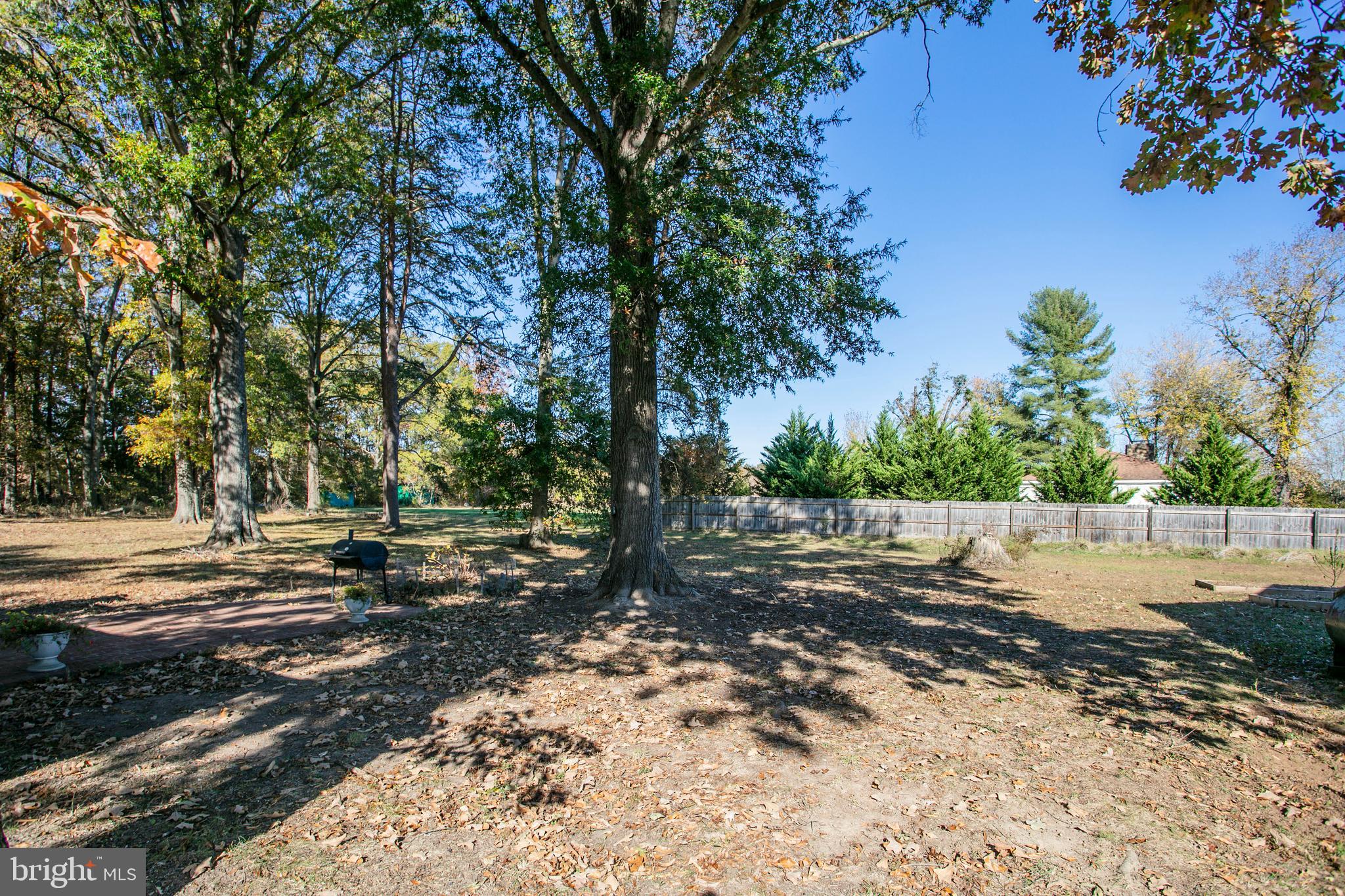 20126 Batna Road Culpeper, VA 22701 - Photo 5 of 15 Gallery Image 5