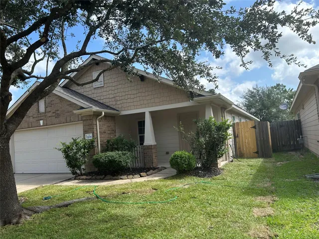 a backyard of a house with plants and tree