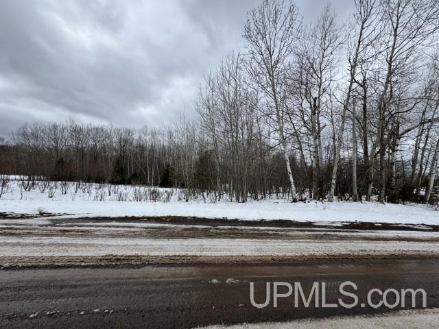 Tbd Paulson Road Skanee, MI 49962 - Photo 15 of 19 Gallery Image 15
