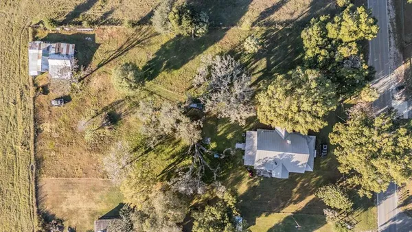 a view of a yard with a tree