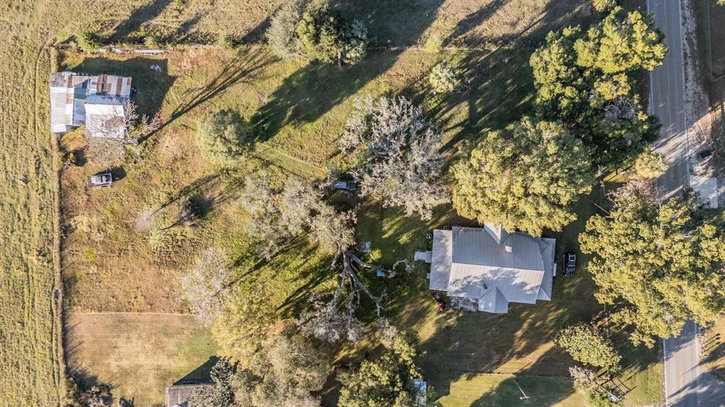 7207 Elwood Road Zephyrhills, FL 33540 - Photo 19 of 23 a picture of a tree in front of a house