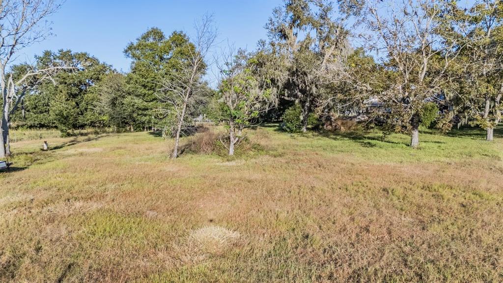7207 Elwood Road Zephyrhills, FL 33540 - Photo 20 of 23 a view of a yard with a tree