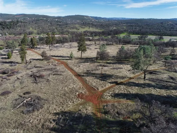 a view of a dry yard with trees and mountains in the background