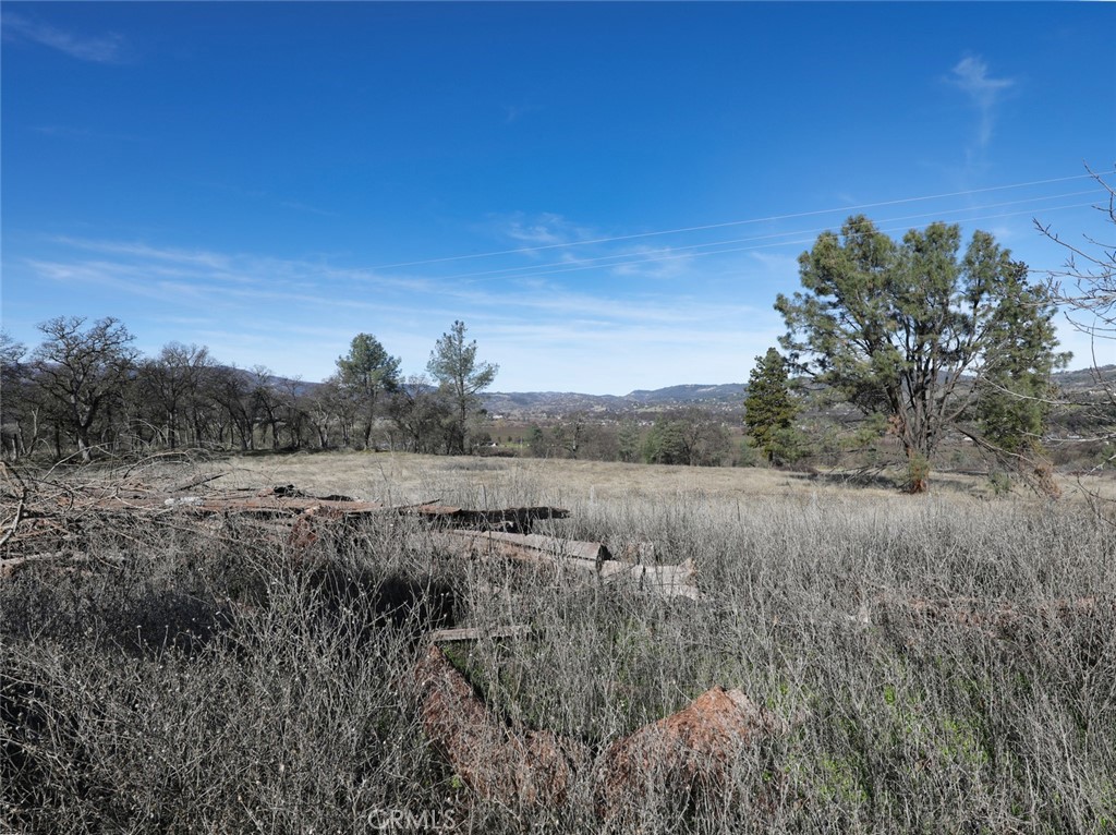 19755 Grange Road Middletown, CA 95461 - Photo 21 of 45 a view of a field of grass and trees
