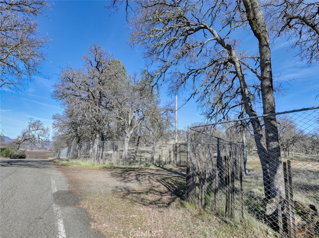 19755 Grange Road Middletown, CA 95461 - Photo 3 of 45 a view of a yard with a tree