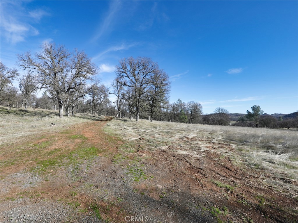 19755 Grange Road Middletown, CA 95461 - Photo 35 of 45 a view of road view with large trees
