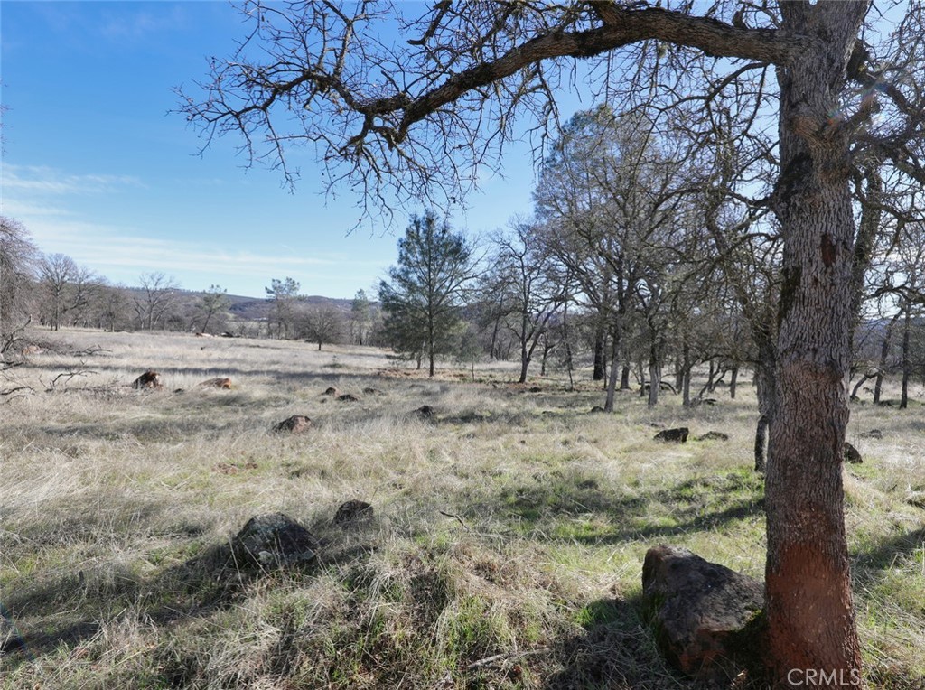 19755 Grange Road Middletown, CA 95461 - Photo 43 of 45 a view of a yard with a tree
