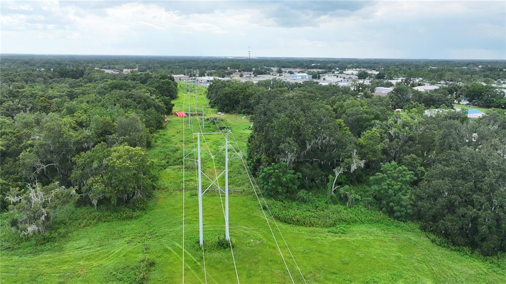 Brannen Road South Lakeland, FL 33813 - Photo 9 of 24