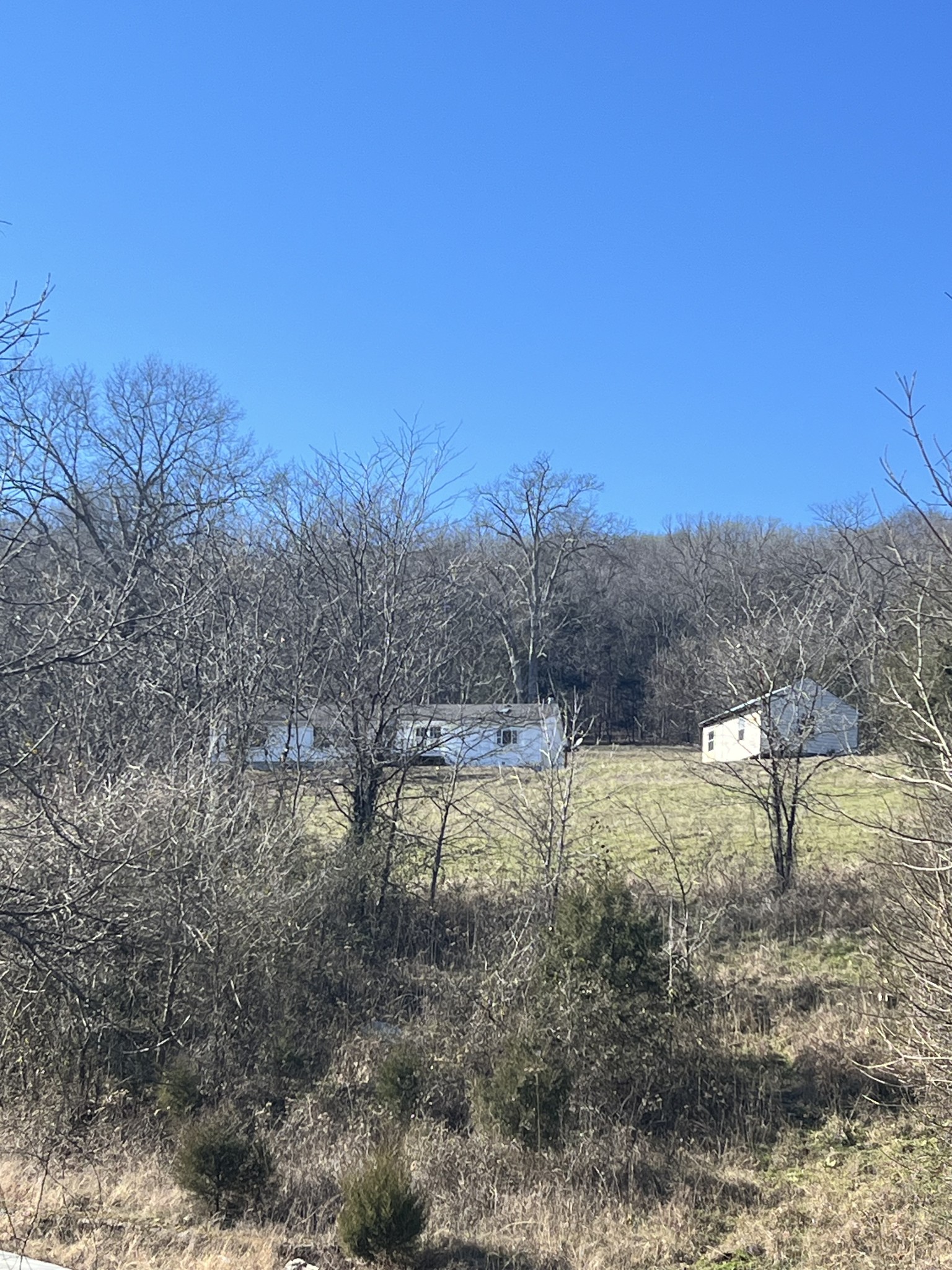 697 Club Springs Road Buffalo Valley, TN 38548 - Photo 3 of 29