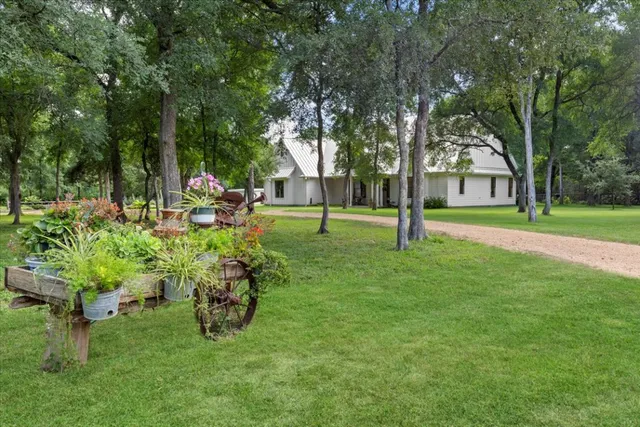 a garden with trees in the background