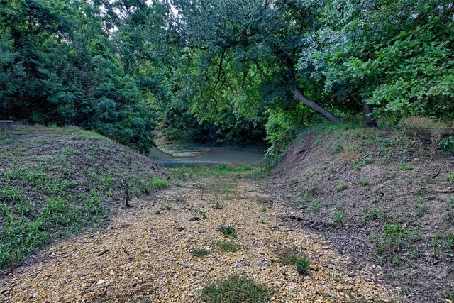 a view of a yard with a tree