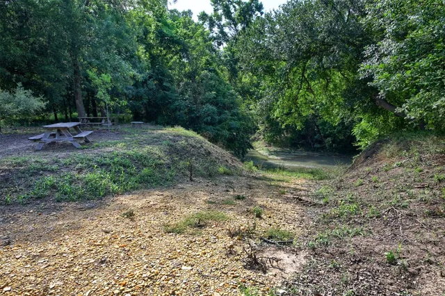a view of backyard with green space
